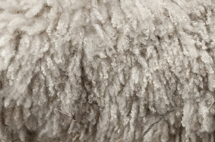 Why Our Rugs Are 100% Wool and NOT Synthetic